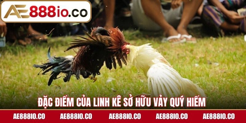 Đặc điểm của linh kê sở hữu vảy quý hiếm 